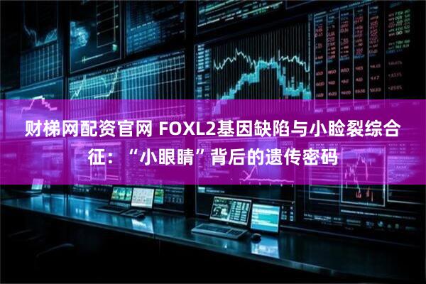 财梯网配资官网 FOXL2基因缺陷与小睑裂综合征：“小眼睛”背后的遗传密码