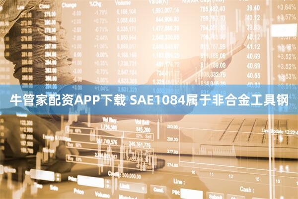 牛管家配资APP下载 SAE1084属于非合金工具钢